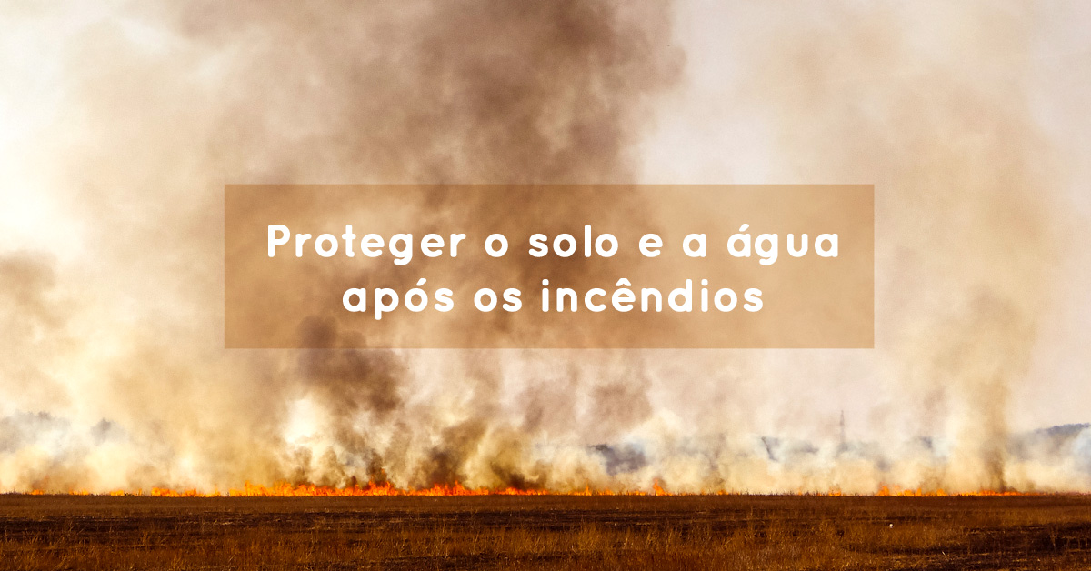 Proteger o solo e a água após os incêndios