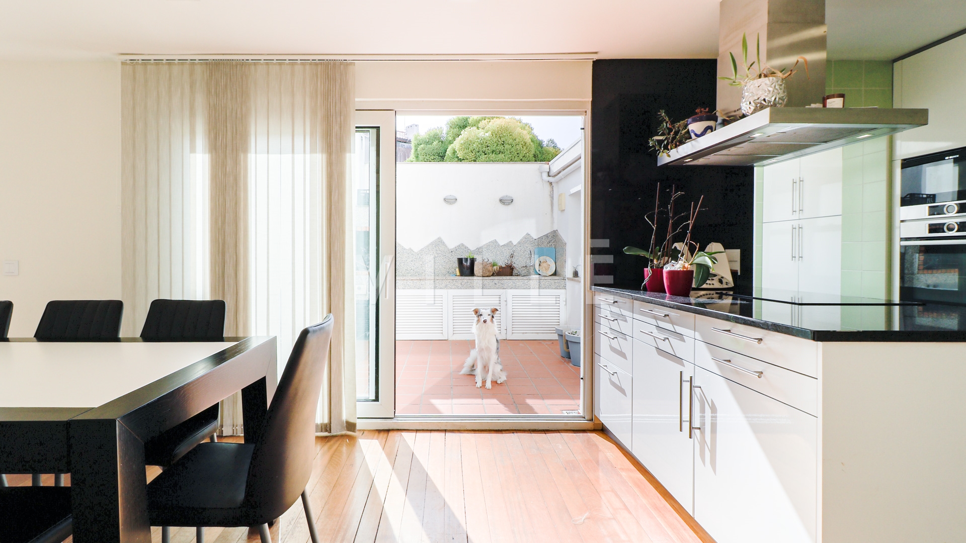Moradia contemporânea T4+1 no Bairro da Beira Mar