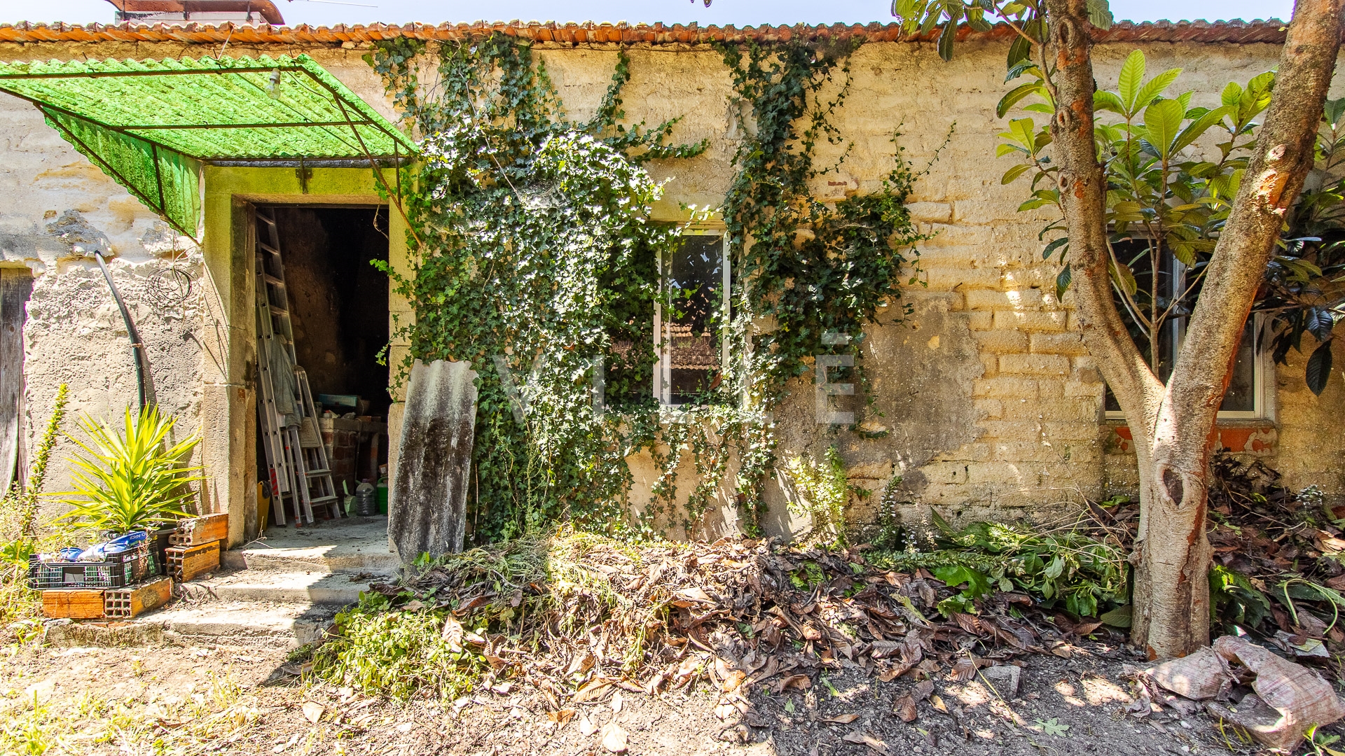Moradia em Oliveirinha para restaurar com terreno de 2.000m2