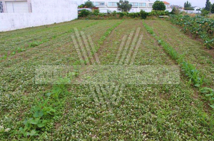 Terrain  - Santa Joana, Aveiro - Vente